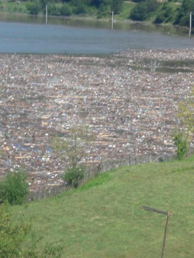 IASI 431 - y VACANTA IASI IULIE 2008