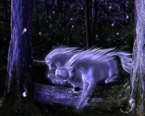 unicorns-1