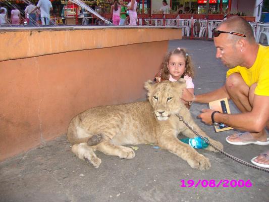 Miruna cu leul 2