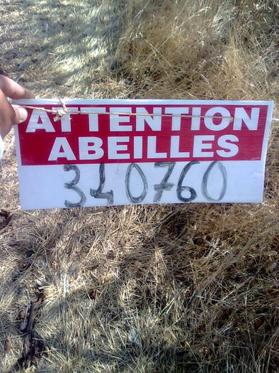 stupina cu caucaziana - ApiMondia