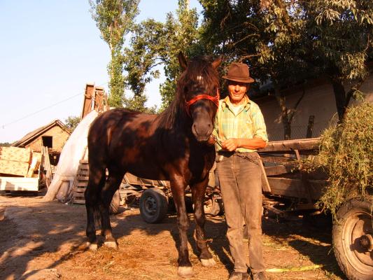 unchiu tudor - In Teleorman 2006