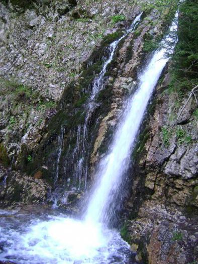 La cascada - Banchet2008