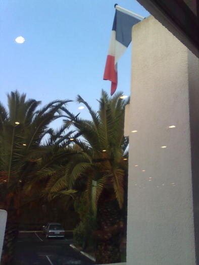 Imagine1233 - ApiMondia