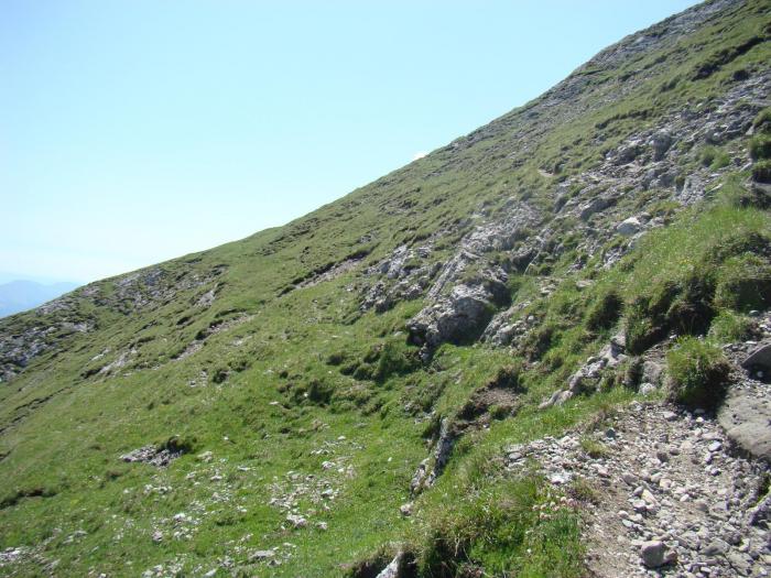 DSC01846 - Concediu 2008