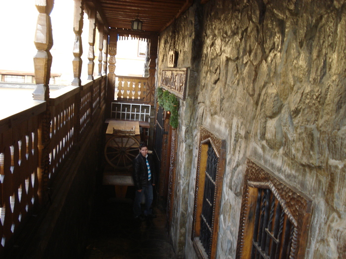 DSC06133 - 2010 REVELION SIBIU