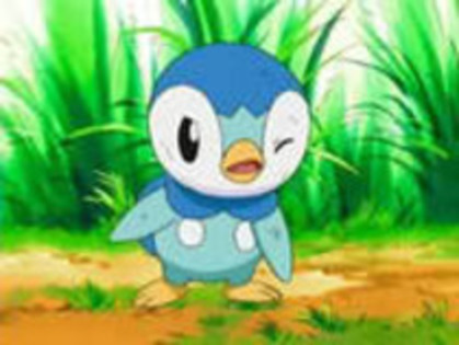 piplup