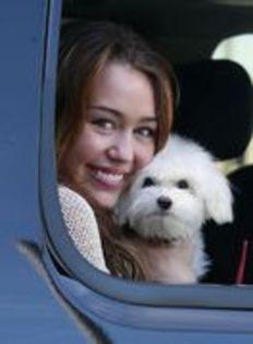 GUNQNQDFHFBKOJAMFJJ - miley si catelusa ei pufoasa Sophie