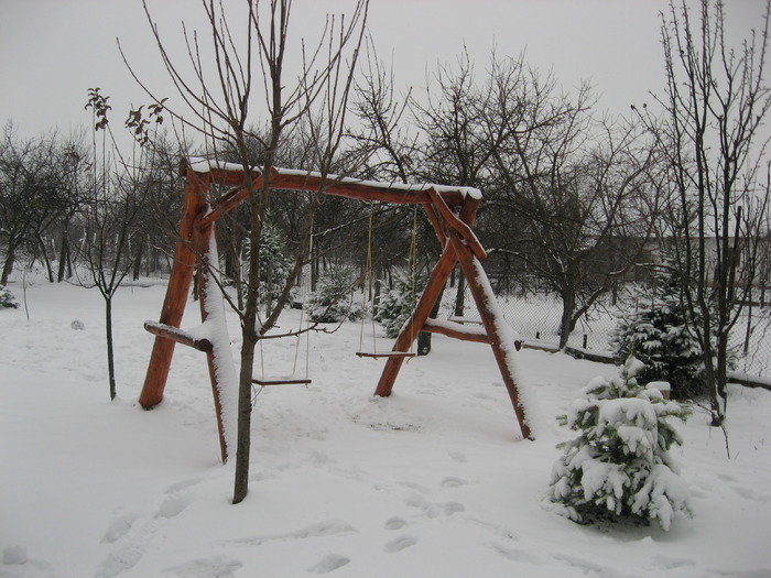 03.01.2010 - gradina ianuarie 2010