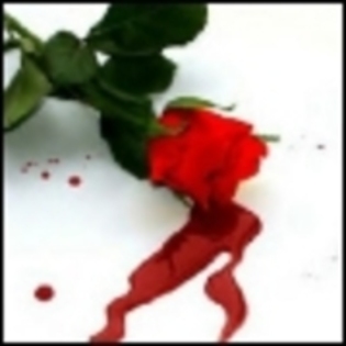 trandafir - poze emo
