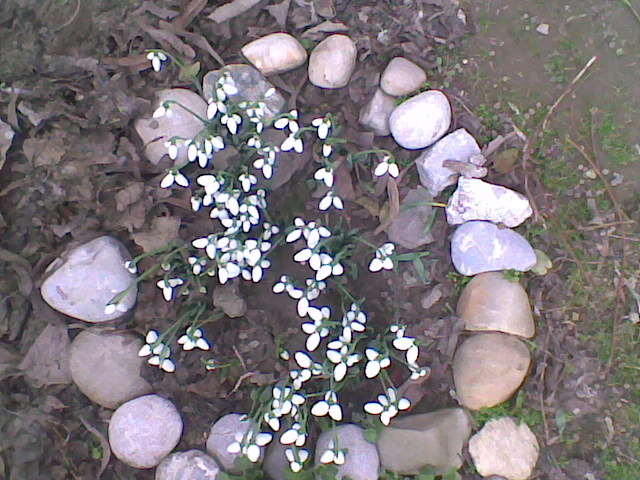 Imag064