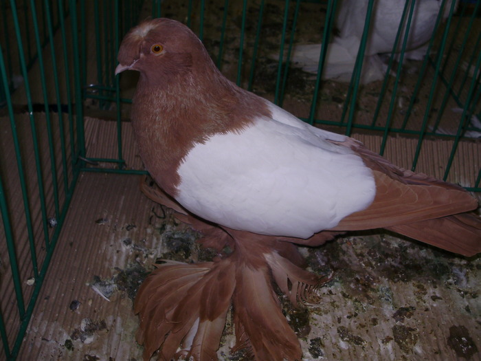 9712 th 1 - 1507 partea 4