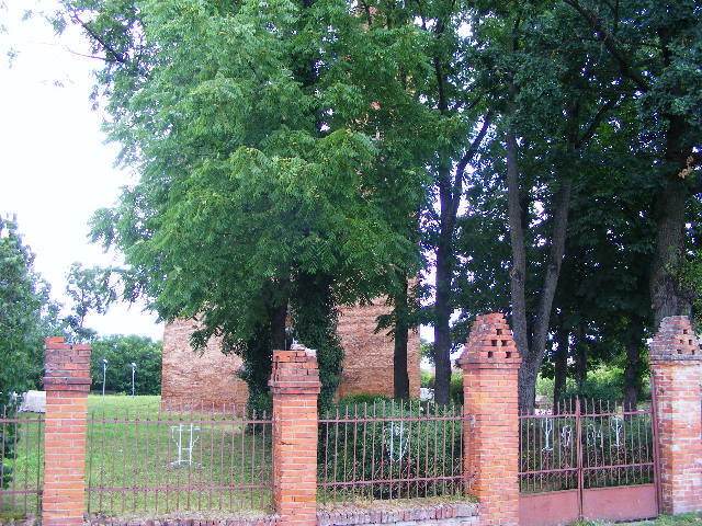 DSCF3982 - Tasnad iulie 2009