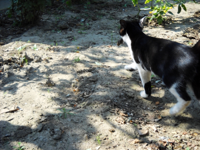 Picture 149; 4mb jpeg 9/25/2009 1:35pm
