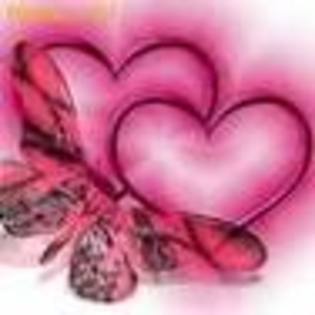 AP8EJLHCAJV67MQCAGGA8TZCA1FTXQ6CAHKVNTSCAON1AETCA7PHE24CAG1Z7WDCAPM1MN2CAI87YFQCAJXT9BVCAPG4W1OCAAK7 - HEARTS