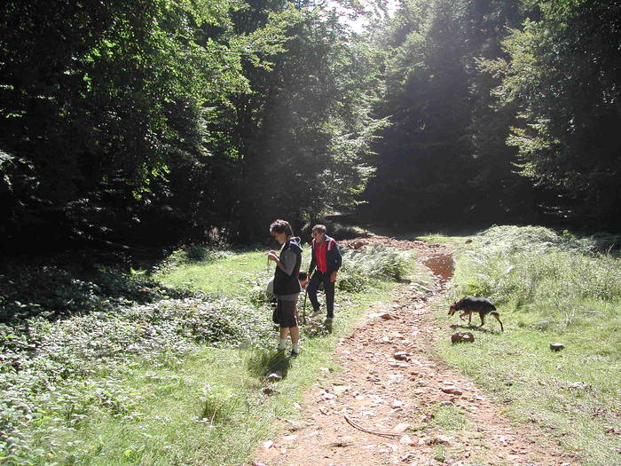 Picture 205 - Firiza