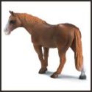 cal din schleich; Este o iapa de rasa Quarter horse.
