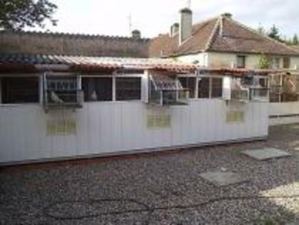 TEAVMJBCEQHDKYGYDJB - MODELE DE CRESCATORII