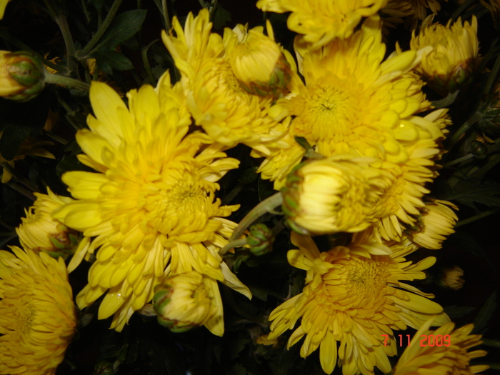 DSC02771
