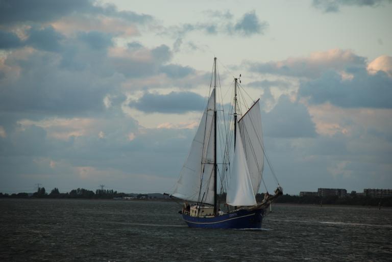 Afbeelding 12