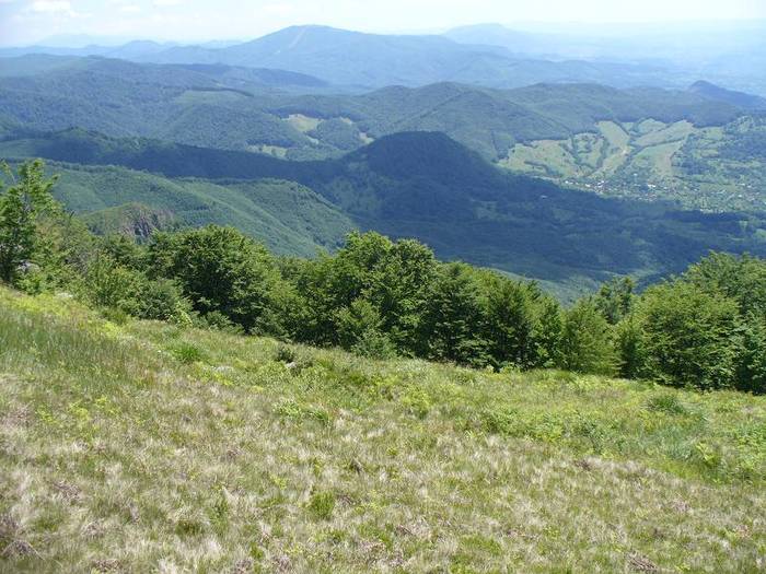 P1000528 - varful Ignis Maramures