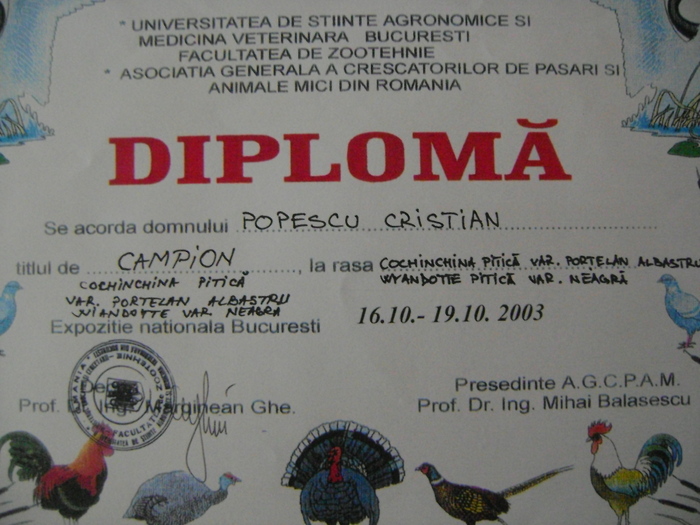 045 - citeva diplome