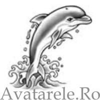 569 - AVATARE