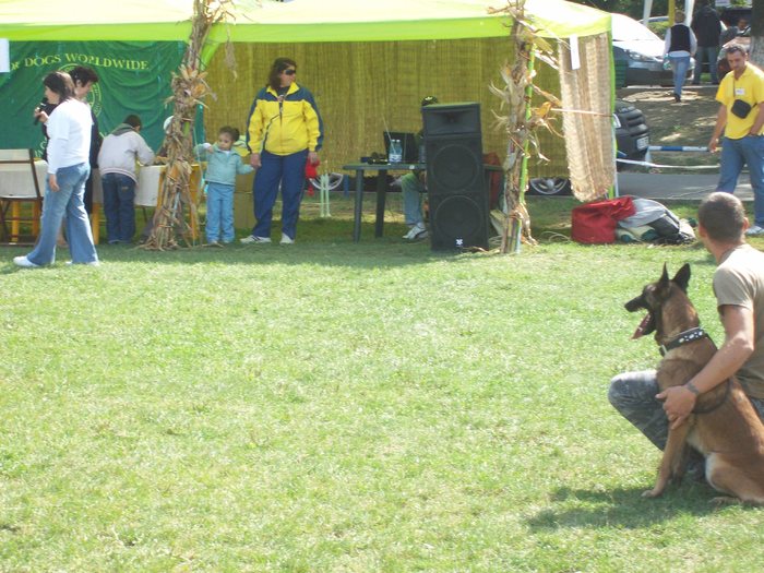 100_8574 - Expo CACIB-Bucuresti 19-20sept2009