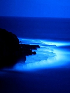 45645312 - Mobile Wallpapers