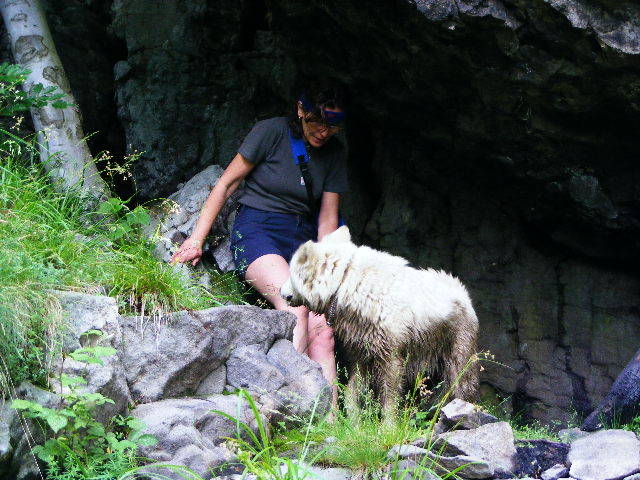 DSCF3001 - Suior Poiana Mlejnita Varful Secatura Creasta Cocosului  din Muntii Guta