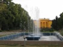 Copy%20of%20azi%20229