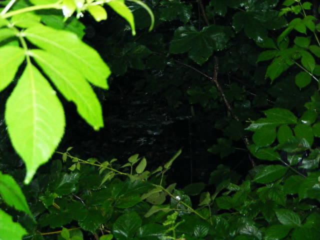 DSCF2897 - hai hui prin Maramures