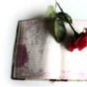 trandafir_pe_jurnal - love