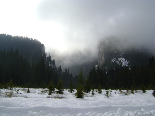 DSC07786 - UN DRUM LA CABANA BOLBOCI