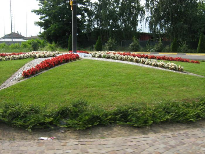vera1 095