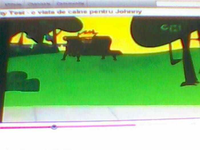 snapshot-3120 - Video Hsm Vedete