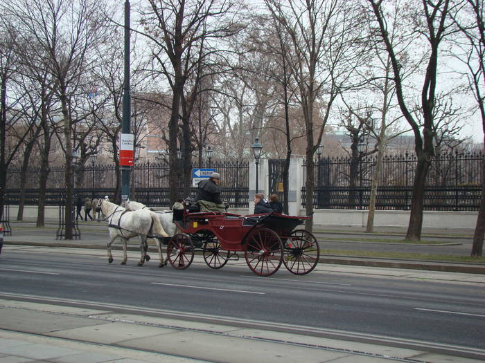 DSC00997 - VIENA