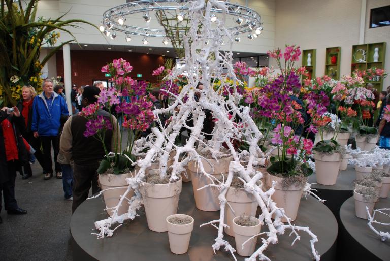 Afbeelding 789 - Keukenhof 2008