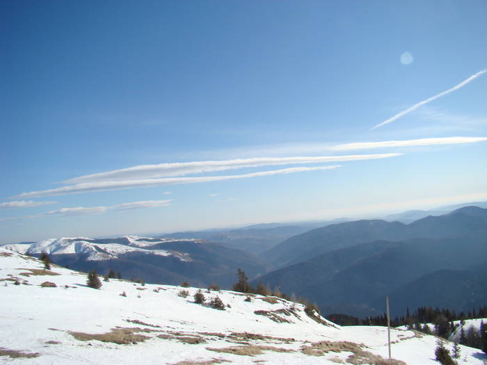DSC01133 - Bucegi - Valea Izvorul Dorului-Padina