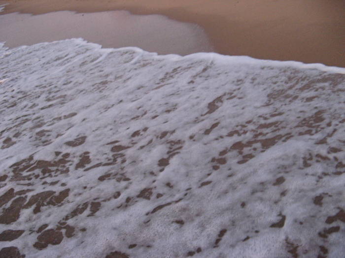 010 - rasarit 09 aug 2009
