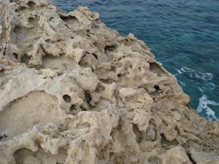 Picture 528; Cape Greco
