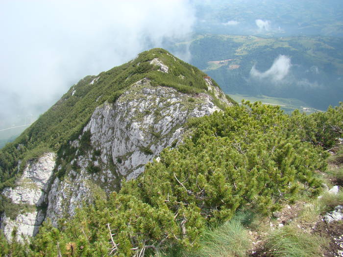 DSC03772 - Concediu 2009