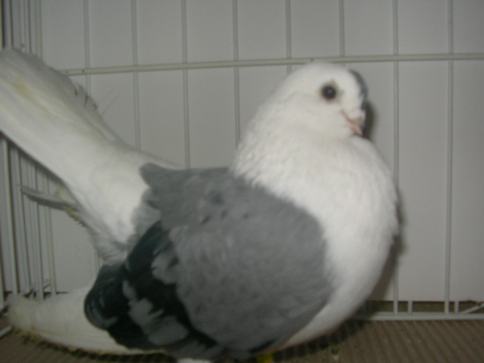 SANY0126