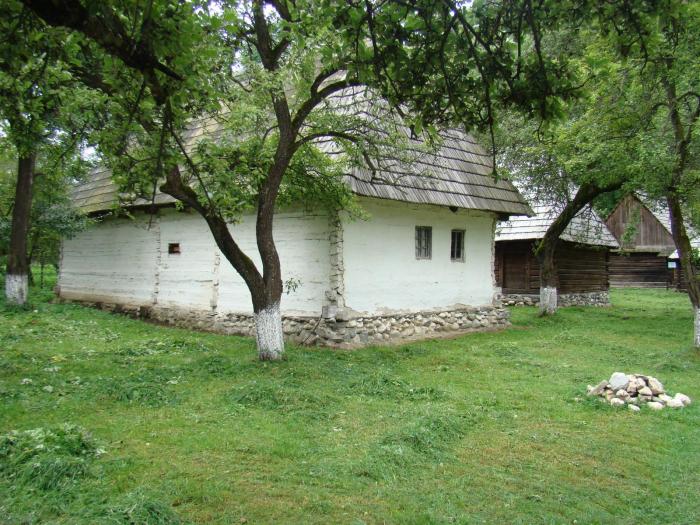 DSC02065 - Concediu 2008