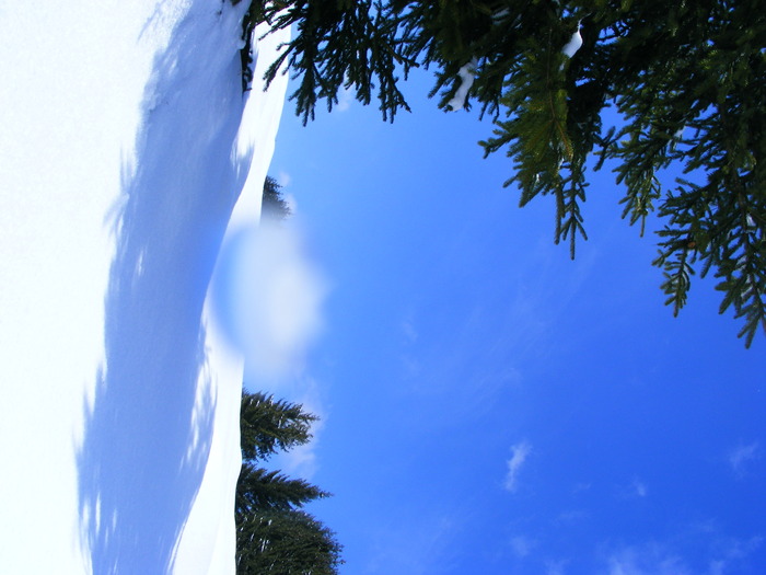 DSCF6936