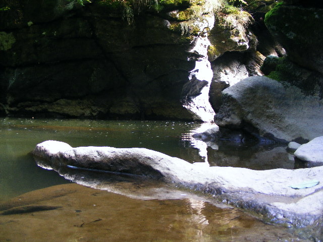 DSCF5193