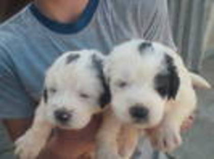 MUFHPCWEWHRXYUGHQZI - hcgah