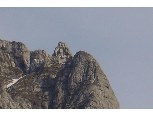 babutele la taifas sus pe stanca. LE OBSERVATI?