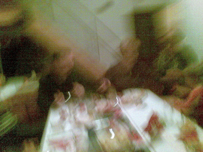 06122009(002)
