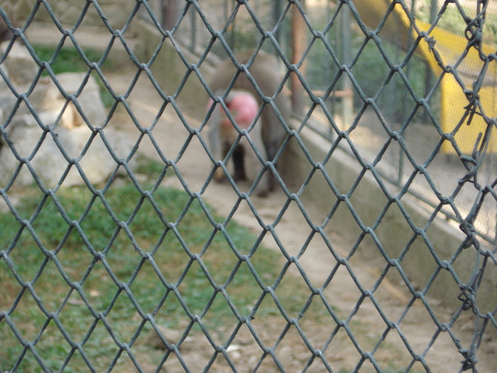 Picture 027 - zoo targoviste