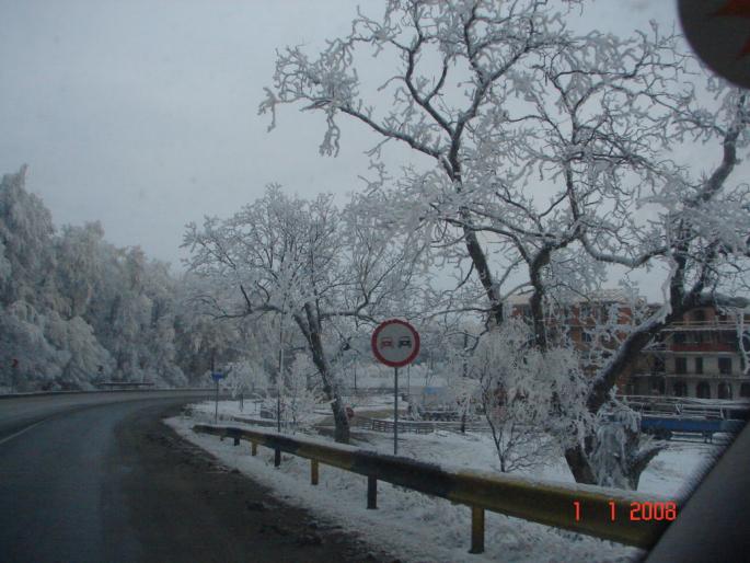 Iarna la Zalau - Natura